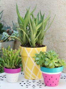 Planters painted in vibrant colors