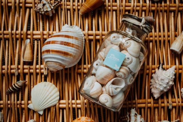 Seashells in a jar placed in a basket