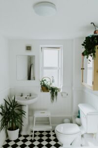 Different plants inside a bathroom