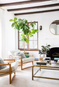Small space living room with a tree, chairs and a coffee table 
