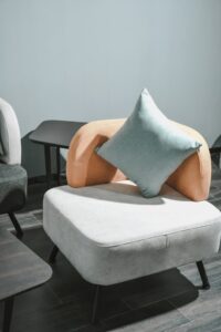 A minimalist sofa bed and cushion